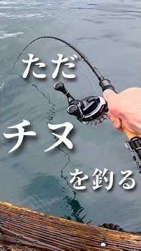 移住して、ただチヌを釣る これが幸せ #筏釣り#尾鷲