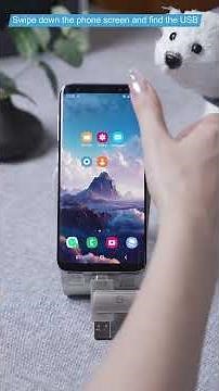 Plug and Play USB C Flash Drive For Android Phone