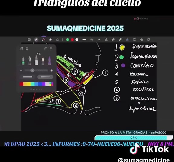 Triángulos del cuello#livehighlights #tiktoklive #medicine #anatomia #medicina