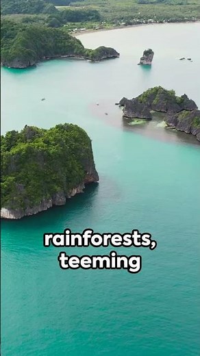 Sao Tome and Principe - Discovering São Tomé & Príncipe's Charm #SaoTomeAndPrincipe #STP #SaoTome