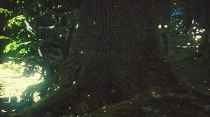 Fantasy firefly lights in the magical forest