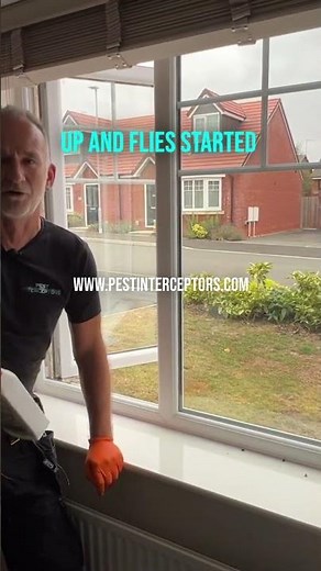 Insect pests? Spider pests? Fly pests? #insectcontrol