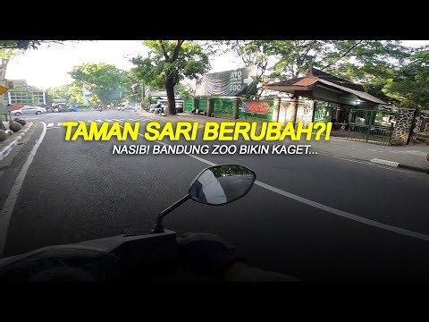 TAMANSARI BERUBAH! BANDUNG ZOO jadi pusat perhatian di Bandung
