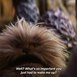 41K views · 424 reactions | It took the wisdom of the Mystics to translate what the Fizzgigs are saying in the Dark Crystal: Age of Resistance | Netflix | Facebook