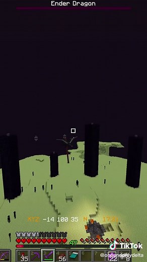 Killed a bunch of dragons. I think what I was saying in the video made sense, but who knows. #minecraft #minecraftbuilding #enderdragon