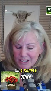 Stunning Container Trees Transform Your Patio Today Unearth expert gardening tips and tricks in the latest episode of the Top 10 Gardener Podcast hosted by Ken Lain. This episode is your guide to a beautiful landscape. Watch the full episode now on YouTube: https://youtu.be/4QgVXY8cPowX And for essential gardening knowledge, be sure to subscribe to “Top 10 Gardener” at Watters Garden Center. #WattersGardenCenter, #Top10Gardener, #GardeningTips, #MountainGardenerPodcast, #GrowYourBestGarden, #ked