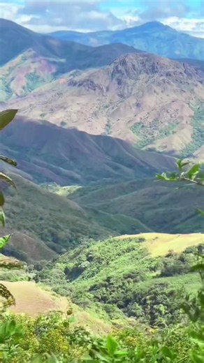 Viaje a Ciénega Mono en Panamá
