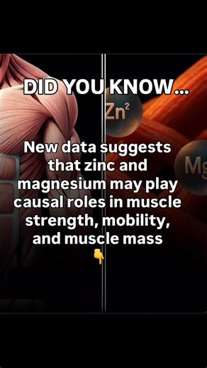 Dr. Andrew Kanelos | Injury Prevention Specialist on Instagram: "More Zinc & Magnesium = 💪🏽 🚨 A recent two-sample bidirectional Mendelian randomization studY identified potential causal effects of micronutrient levels (especially zinc and magnesium) on muscle function and sarcopenia-related traits in older adults. 🚨 This particular study approach reduces confounding and reverse causation by using genetic variants as proxies for long-term exposures. Unlike traditional observational studies, M