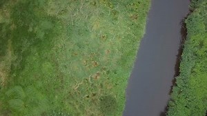 River Otter aerial/birds eye view.