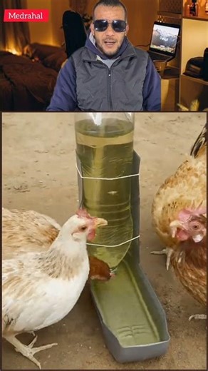 Watch how to make a chicken waterer with simple tools, a little water, and a lighter – it solves ...