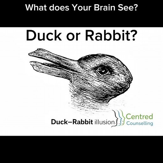 Your Brain Will Get At Least One of These Wrong