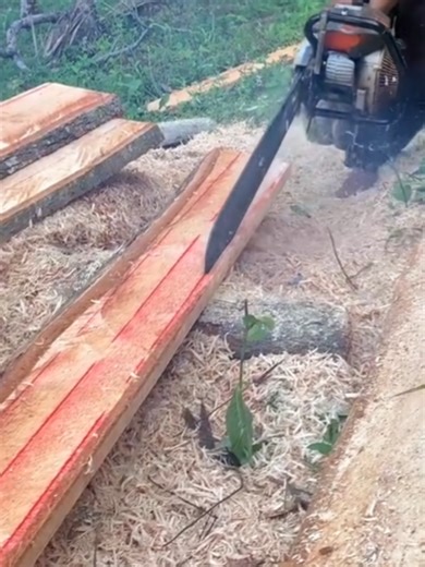Chainsaw Skills on TikTok