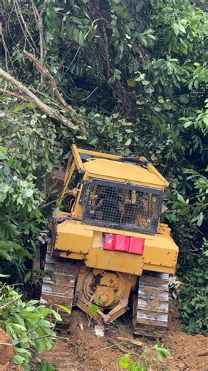 Powerful Bulldozer Conquers Tough Land to Build Terraces!
