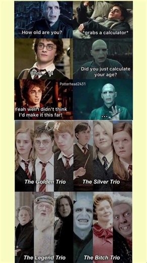 When Hogwarts Math Hits Harder Than Dark Magic#funnymeme #shortsvideo #universmeme #fuggymeme