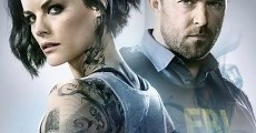 BLINDSPOT - Temporada 1 Completa en Español