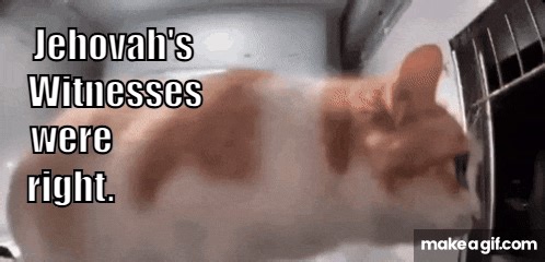 realization cat on Make a GIF