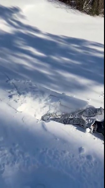 North Carolina snow drifts deep enough for diving