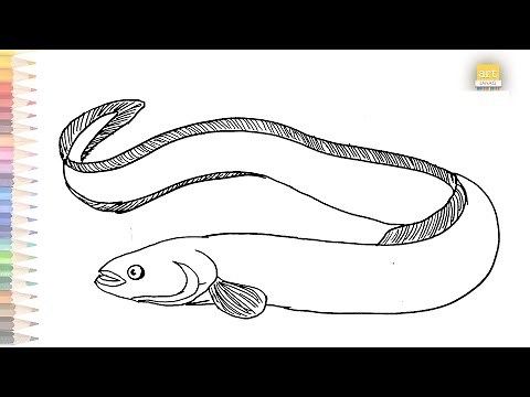 Eel outline sketch easy 02 | How to draw An Eel drawing step by step | Draw A Eel