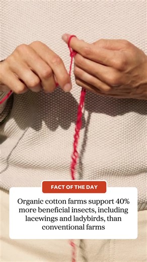 Benefits of Organic Cotton Farming for Biodiversity