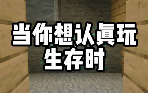 我保证 这绝对是我最后一次开创造