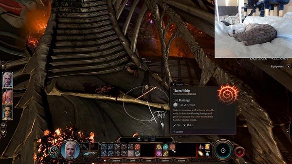 nullrat - Twitch