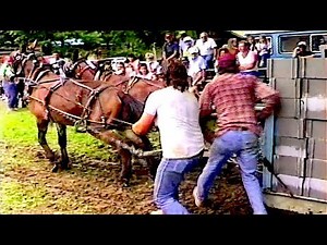 RUDI LONDON PRESENTS: Pleasant View TN - 4th of July Mule Pull 1989