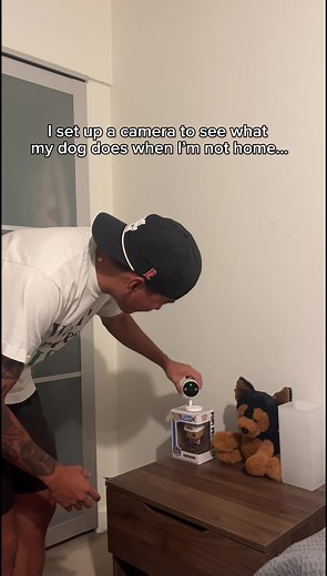 Setting up a camera to see what Cowboy gets up to when no one is home. Everything seems normal…almost 🤪🥰 @TP.LINK #TPLinkPartner #tapoc120 #tapobytplink