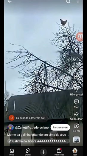 não liga pro som no fundo