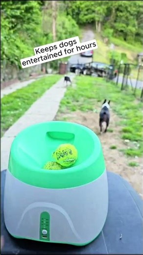 Automatic Dog Ball Launcher… Your Pup Will Go Crazy 🤯🐶🎾