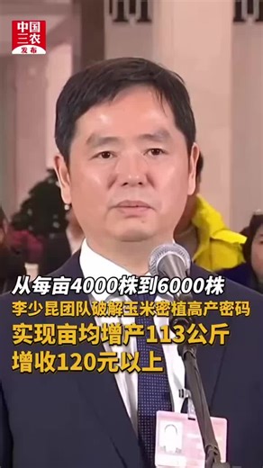 从每亩4000株到6000株：李少昆团队破解玉米密植高产密码_腾讯新闻