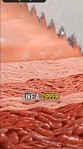 Paper Cuts Are Actually Microscopic SAWS 📄🪚