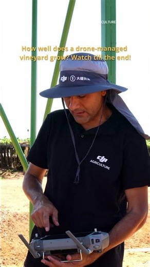 DJI T100 in Sync with the Beat 🎶🍇 Smart Farming in Action