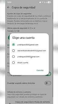 How to Create a WhatsApp Backup