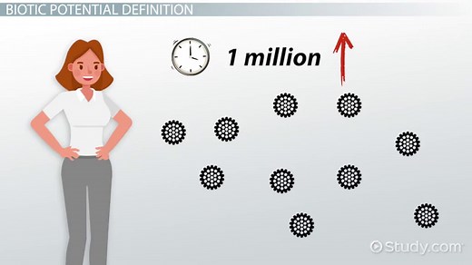 Biotic Potential | Definition, Factors & Examples