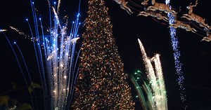 The Grove's iconic Christmas tree arrives ahead of annual tree lighting ceremony