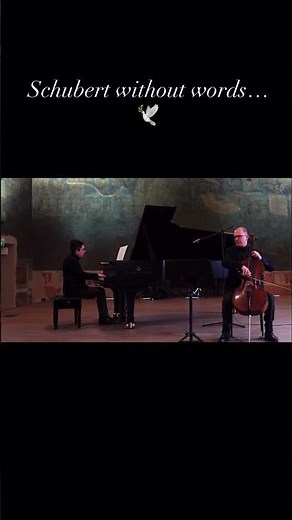 Schubert Without Words: Lied der Mignon for Cello & Piano 🎻🎹