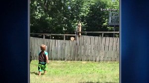 104K views · 2.4K reactions | CUTE ALERT!!! Video shows two-year-old playing fetch with a dog who happens to be on the other side of a fence. Seriously, this is the cutest video you'll see today. | WILX News 10 | Facebook