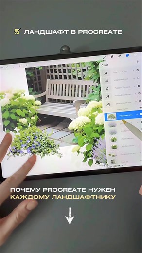 ✅ виз в Procreate#masterplan#пландома#ландшафтныйпроект#archicad#autocad#preplan#планировкаучастка