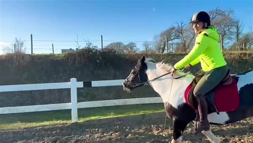 Horses Jumping: Overcoming Obstacles with Confidence