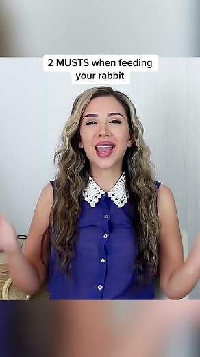 Essential Tips for Feeding Your Rabbit