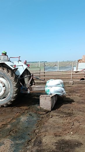 #masallah🧿 #ford #5000 #koyun #akkaraman #cardak #temizleme @Burak Kayser