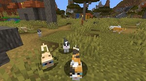 Minecraft Achievement Guide: Plethora of Cats