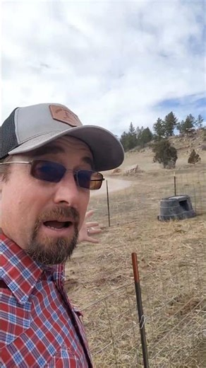 Hog pen has been relocated #farmlife #hogs