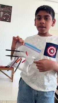 The Ziploc Bag Science Hack#Physics Fun at Home #KIDS MUST TRY THIS Pencil & Water HOME Experiment