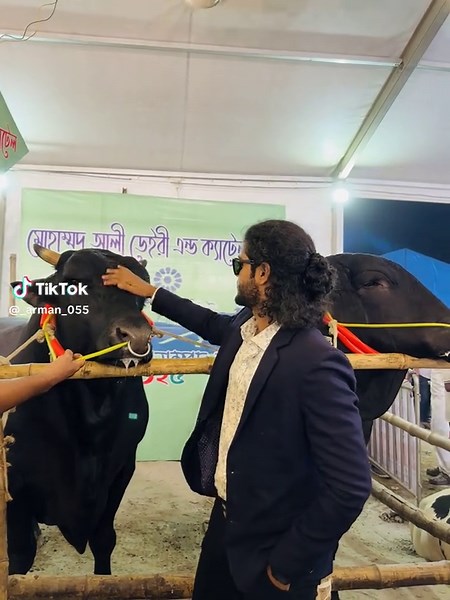 Black Mamba: An Exciting Encounter in Brahmanbaria