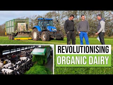 Is ORGANIC the Future of Dairy Farming??