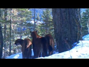 The Email Many Of You Have Been Waiting For And More