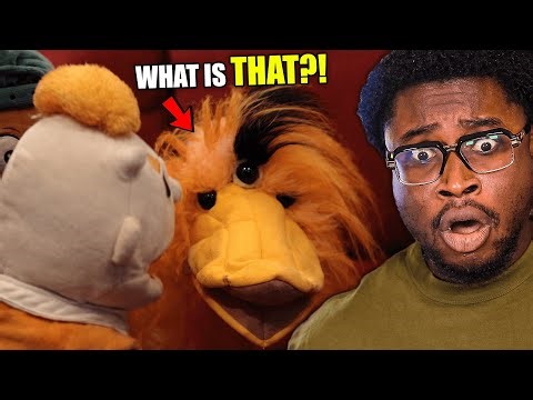 This Is NOT a Bird… (SML)