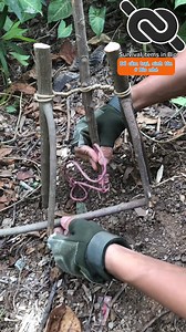 A great trap for survival #knotshort | KNOT SHORT