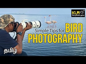 Simple Bird Photography Tips for Beginners